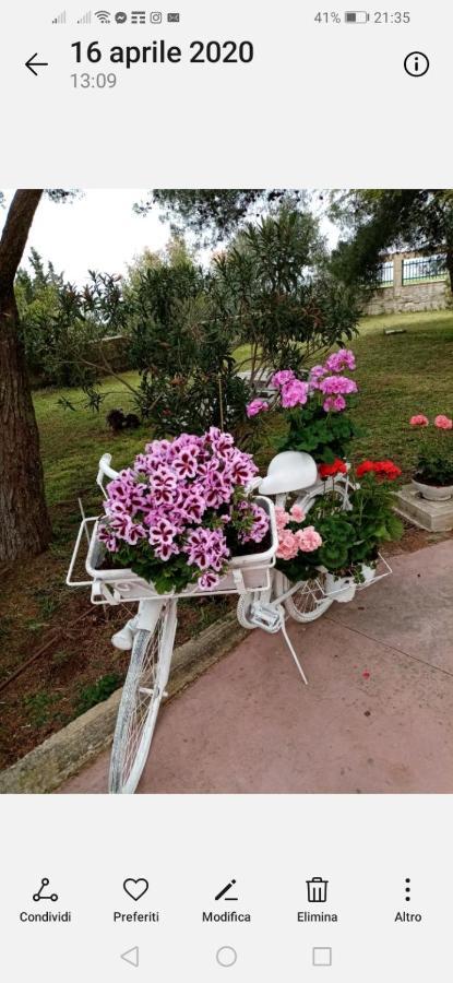 La Dimora Di Nonno Nuccio Hotel Ragusa Exterior foto