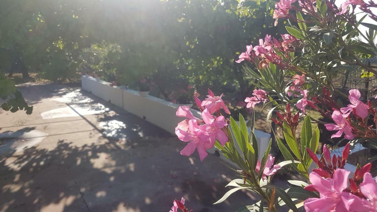 La Dimora Di Nonno Nuccio Hotel Ragusa Exterior foto